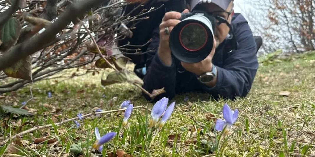 Dünyada Kocaeli’nden başka bir yerde yetişmiyor: Sabah erkenden peşine düştüler 4